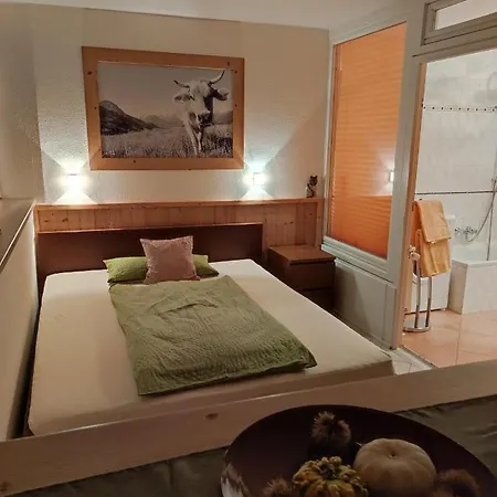 Apartment Penthouseapartment 250°